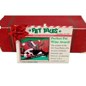 Carlton Cards Frame Your Favorite Pet Photoholder Christmas Tree Ornament